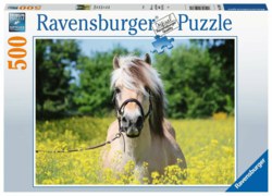 103-15038 Pferd im Rapsfeld Ravensburger