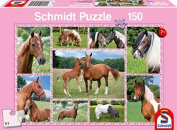 223-56269 Pferdeträume Schmidt Spiele, K